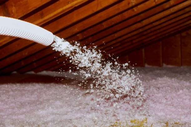 Best Garage Insulation Installation  in Peridot, AZ